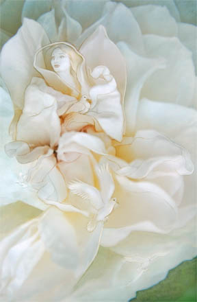 Rose Angel